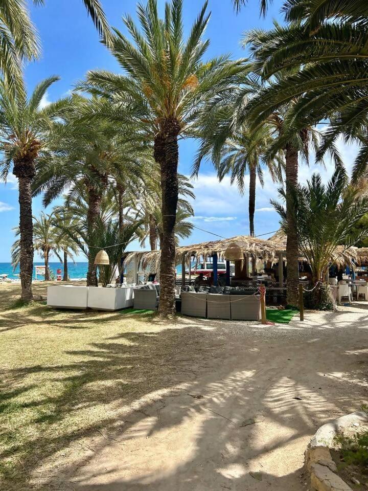 Sol Mediterraneo Palm Beach 6 Villajoyosa Eksteriør billede
